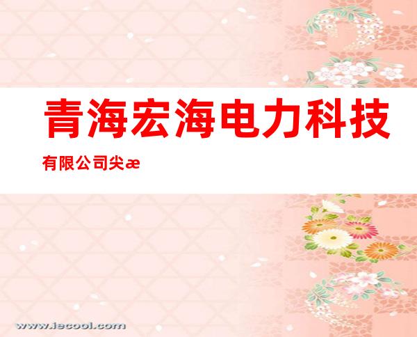 青海宏海电力科技有限公司尖扎才塘水电站